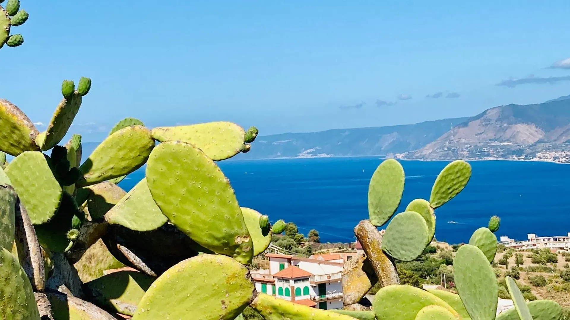 Pensjonat Villa Scilla E Cariddi Mesyna