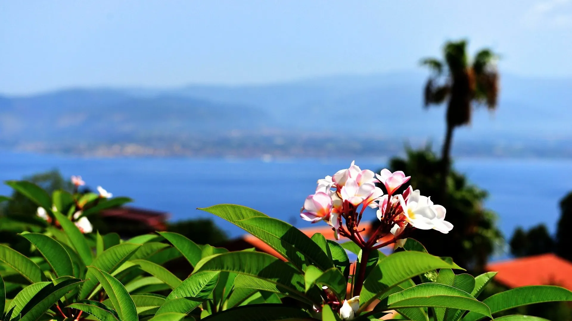 Villa Scilla E Cariddi Мессина Гостевой дом