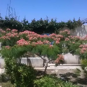 Casa vacanze Domus Austri