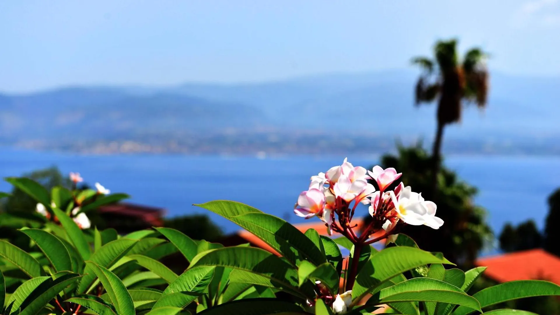 Villa Scilla E Cariddi Messina Penzion